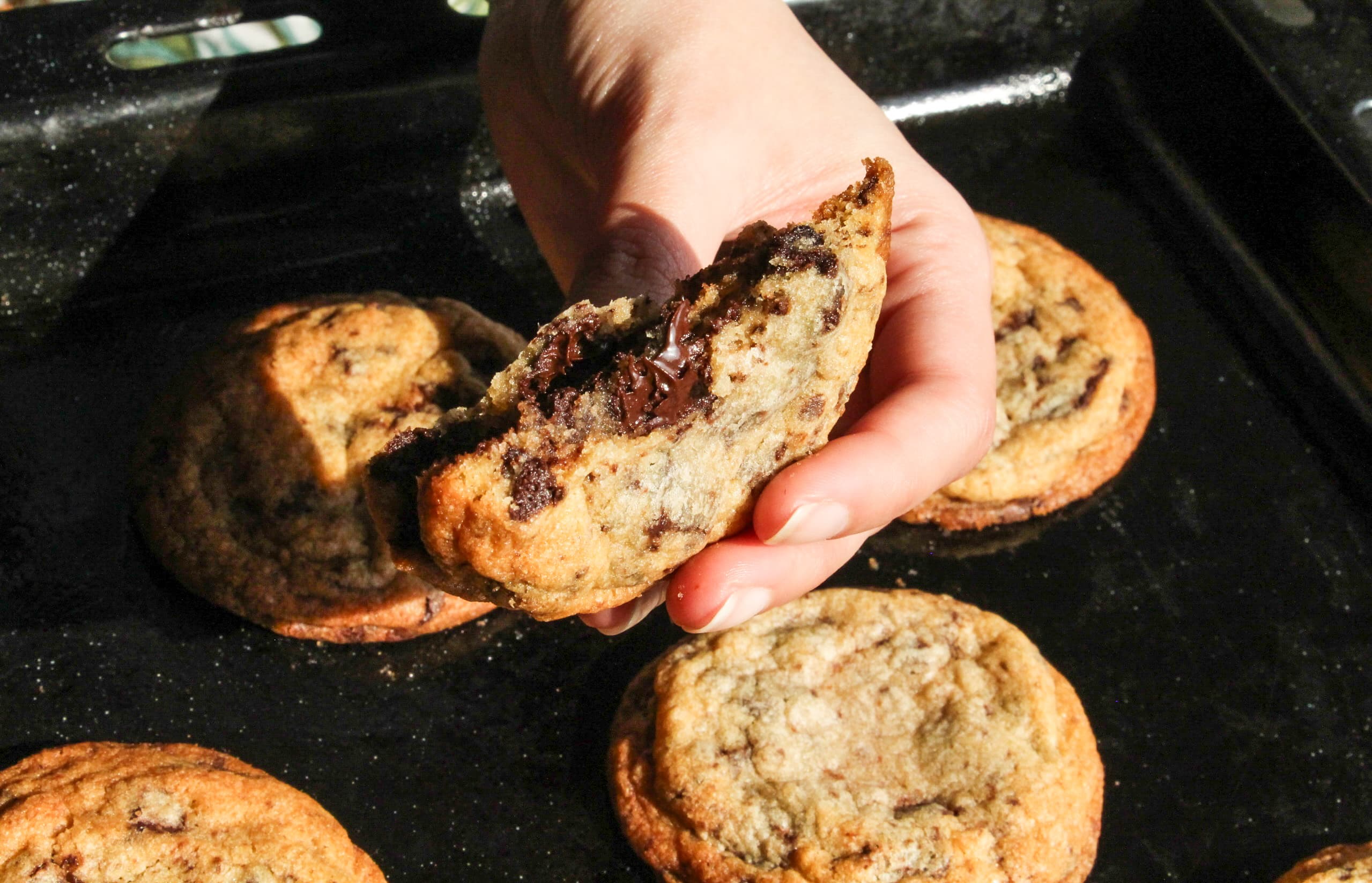 Homemade Chocolate Chunk Cookie from Butter Bakery Jaipur - Fresh baked daily